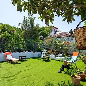 book here